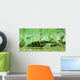 Bothriolepis Freshwater Bottom Feeder Wall Decal