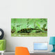 Bothriolepis Freshwater Bottom Feeder Wall Decal
