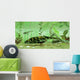 Bothriolepis Freshwater Bottom Feeder Wall Decal