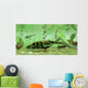 Bothriolepis Freshwater Bottom Feeder Wall Decal