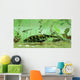 Bothriolepis Freshwater Bottom Feeder Wall Decal