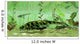 Bothriolepis Freshwater Bottom Feeder Wall Decal