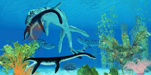 Dakosaurus Attacks Small Plesiosaurus Wall Decal
