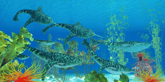 Doryaspis Extinct Genus Primitive Wall Decal