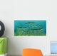 Orthacanthus Was Freshwater Shark Wall Decal