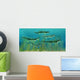 Orthacanthus Was Freshwater Shark Wall Decal