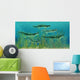 Orthacanthus Was Freshwater Shark Wall Decal