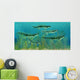 Orthacanthus Was Freshwater Shark Wall Decal