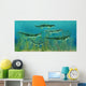 Orthacanthus Was Freshwater Shark Wall Decal