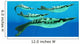 Pteraspis Is Extinct Genus Wall Decal