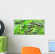 Dipterus Is Extinct Freshwater Wall Decal Design 2