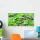 Dipterus Is Extinct Freshwater Wall Decal Design 2
