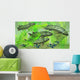 Dipterus Is Extinct Freshwater Wall Decal Design 2
