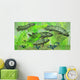 Dipterus Is Extinct Freshwater Wall Decal Design 2