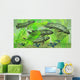 Dipterus Is Extinct Freshwater Wall Decal Design 2