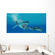 Huge Megalodon Shark Swims Wall Decal
