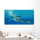 Huge Megalodon Shark Swims Wall Decal