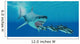 Huge Megalodon Shark Swims Wall Decal