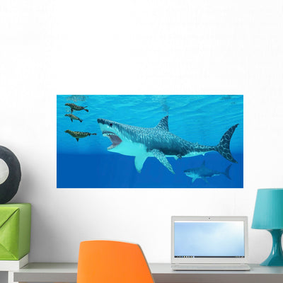 Seals Race to Get Wall Decal shown on a wall
