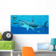 Seals Race to Get Wall Decal