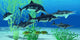 Stenopterygius Is Extinct Icthyosaur Wall Decal