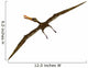 Anhanguera Was Fish-eating Pterosaur Wall Decal