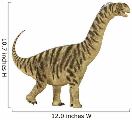 Juvenile Camarasaurus Sauropod Dinosaur Wall Decal