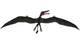 Dorygnathus Was Pterosaur Lived Wall Decal