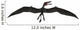 Dorygnathus Was Pterosaur Lived Wall Decal
