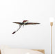 Eudimorphodon Was Pterosaur Lived Wall Decal
