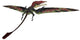 Eudimorphodon Was Pterosaur Lived Wall Decal