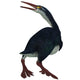 Hesperornis Was Flightless Bird Wall Decal