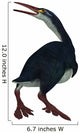 Hesperornis Was Flightless Bird Wall Decal