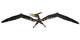 Pteranodon Was Pterosaur from Wall Decal