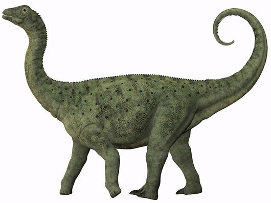 Juvenile Saltasaurus Sauropod Dinosaur Wall Decal