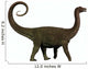 Saltasaurus Was Sauropod Dinosaur Wall Decal
