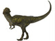 Stegoceras Was Herbivorous Dinosaur Wall Decal