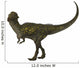 Stegoceras Was Herbivorous Dinosaur Wall Decal