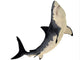 Megalodon Shark from Cenozoic Wall Decal Design 2