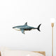 Megalodon Shark from Cenozoic Wall Decal Design 1