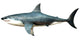 Megalodon Shark from Cenozoic Wall Decal Design 1