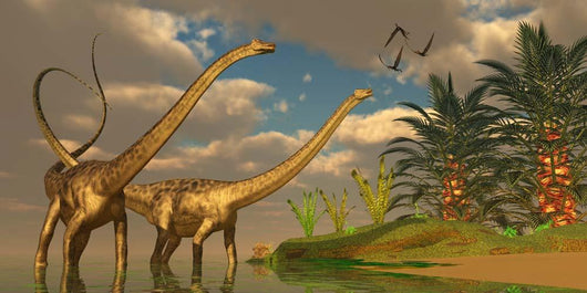Diplodocus Dinosaurs Mating Ritual Wall Decal
