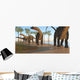 Herd Apatosaurus Dinosaurs Wall Decal