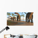 Herd Apatosaurus Dinosaurs Wall Decal