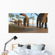 Herd Apatosaurus Dinosaurs Wall Decal