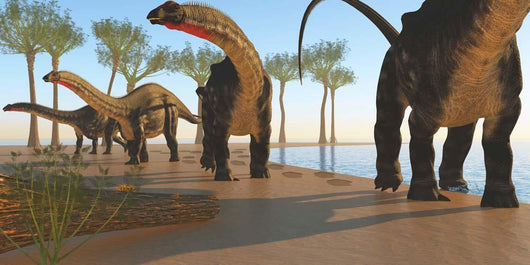 Herd Apatosaurus Dinosaurs Wall Decal
