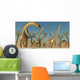 Herd Diplodocus Dinosaurs Wall Decal
