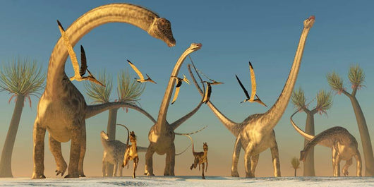Herd Diplodocus Dinosaurs Wall Decal