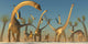 Herd Diplodocus Dinosaurs Wall Decal