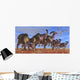 Herd Parasaurolophus Dinosaurs Searching Wall Decal